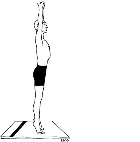 Individual Yoga Instruction: Tadasana (palm tree pose)