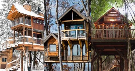 These Are the Best and Most Unique Airbnb Treehouses in the U.S.