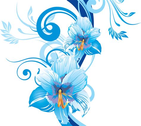 Frames & png: flower vectors various (16)