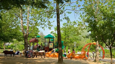 Yongsan Park Tours - Book Now | Expedia