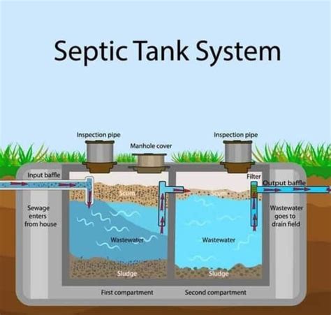 how does a conventional septic system work - Augustine Cornett