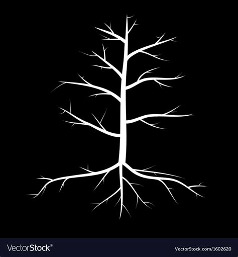 Trees with dead branches and roots Royalty Free Vector Image