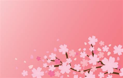 sweet pink sakura with empty space in the middle, spring background ...