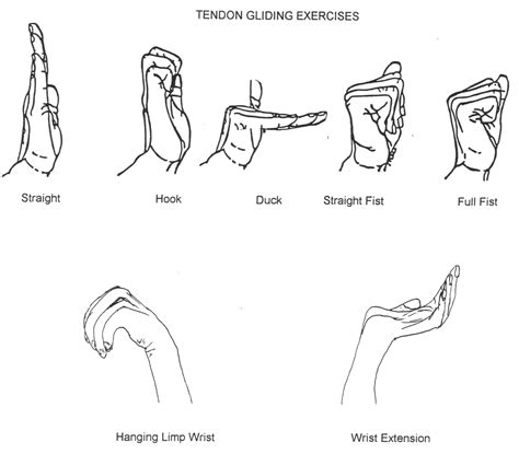 Ulnar Nerve Gliding Exercises Cubital Tunnel – Online degrees