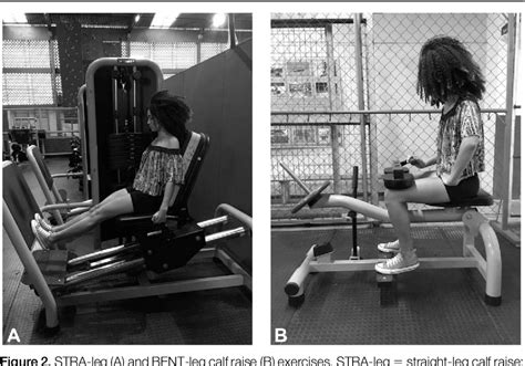 Figure 2 from Muscle Swelling of the Triceps Surae in Response to ...