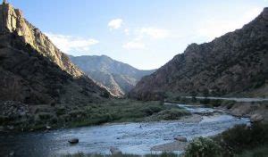 bighorn_sheep_canyon - Royal Gorge Region