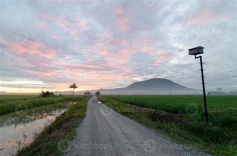 A path in paddy field in golden sunrise. 6589337 Stock Photo at Vecteezy