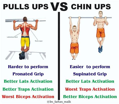 Chin Up Muscle Groups - Mocksure