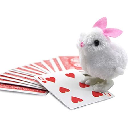 Smart Rabbit Magic Tricks Rabbit Jumps To The Chosen Card Magia Close ...