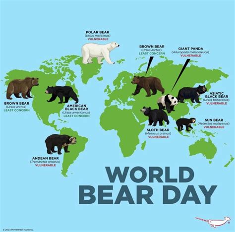 World map of the bear population - Vivid Maps