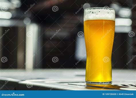 Tall Glass of Light Beer in a Brewery Stock Photo - Image of craft ...