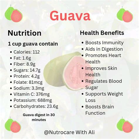 Guava, Nutrition and Health Benefits | by Dn. Ali Hayder | Medium