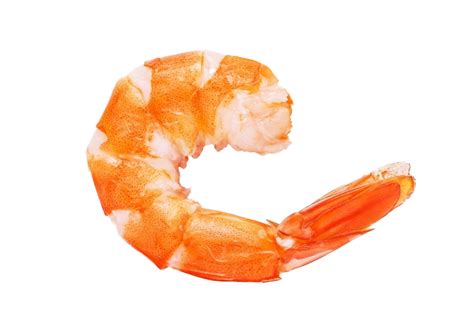 Pink Shrimp PNG Image - PNG All | PNG All