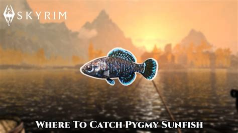 Where To Catch Pygmy Sunfish In Skyrim: Pygmy Sunfish Location