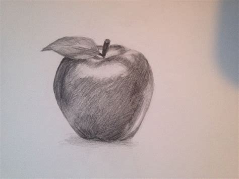 The best free Pencil sketch drawing images. Download from 75283 free ...