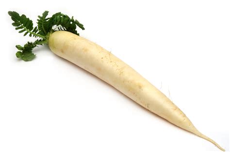 Daikon Radish – NutraWiki