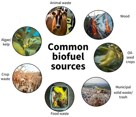 Biomass Energy | USDA Climate Hubs