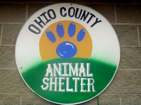 ohio county animal shelter indiana - See Clearly Blogger Lightbox