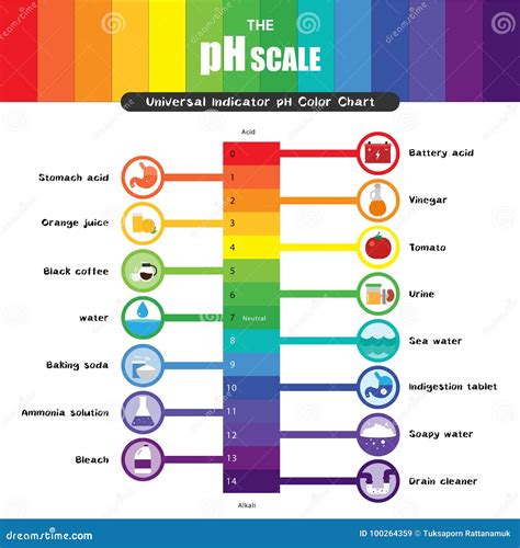 The PH Scale Universal Indicator PH Color Chart Diagram Cartoon Vector ...