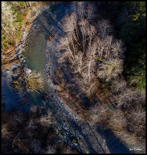 Morning Creek Drone View | Focal World