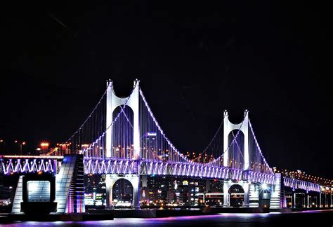 Busan Night View Tour | This Is Korea Tours