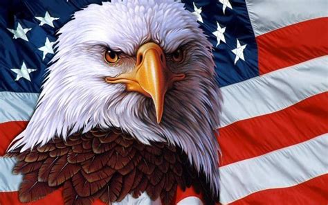 10 Top Eagle And Flag Wallpaper FULL HD 1080p For PC Desktop 2024