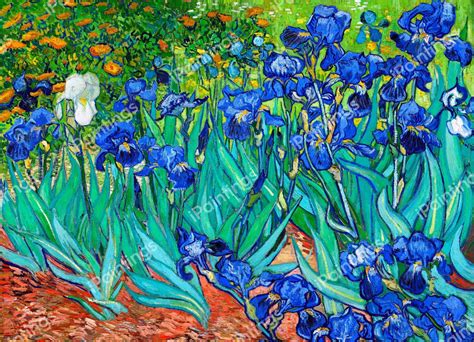 Irises 2 Painting by Vincent Van Gogh Reproduction | iPaintings.com