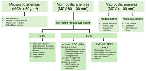 Classification Of Anemia Chart