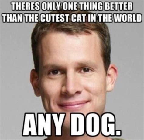 Daniel Tosh Quotes. QuotesGram