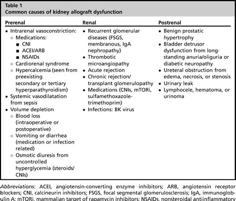 Table 3 from Acute and Chronic Allograft Dysfunction in Kidney ...