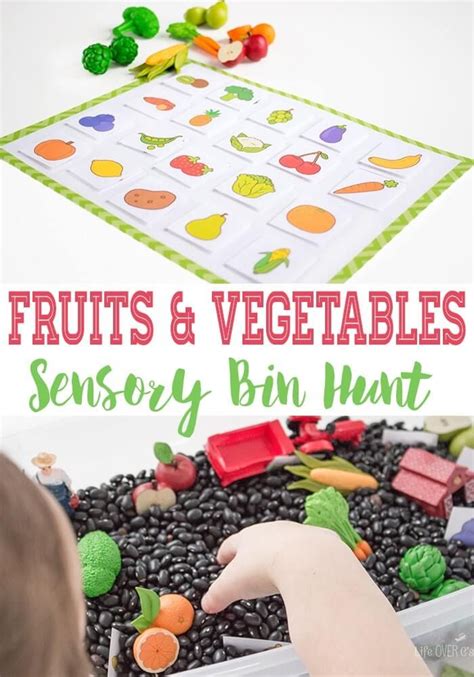 Fruit and Vegetable Hunt Farm Sensory Bin | Preschool food, Farm ...