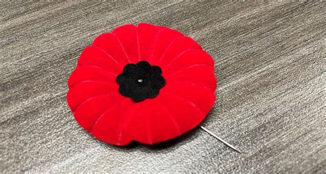 Remembrance Day: Canada poppy changes | CityNews Vancouver