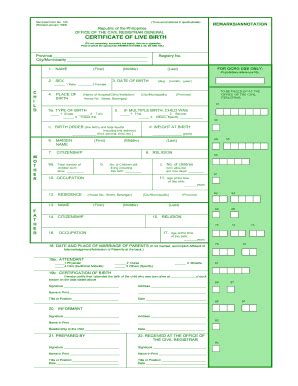 1993 PH Municipal Form 102 Fill Online, Printable, Fillable, Blank ...