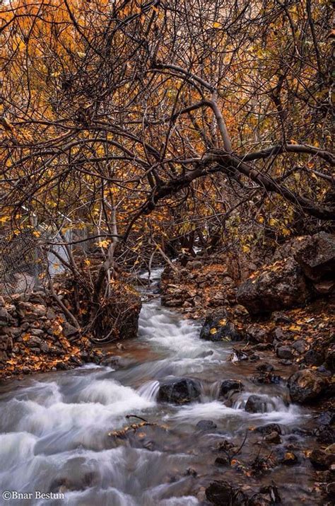 Pin by Ami .O Rashid on Nice | Kurdistan, Waterfall, Iraq