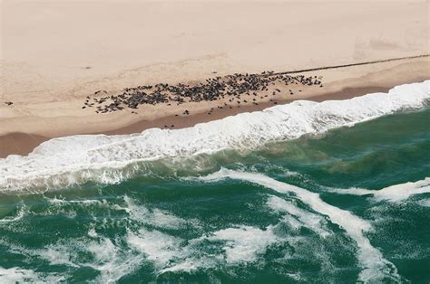 Namibia, Namib Desert, Skeleton Coast by Pitamitz Sergio / Hemis.fr