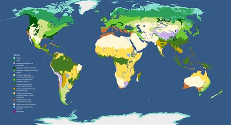 Wetlands Biome Map