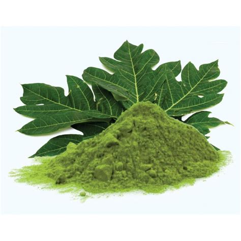 Papaya Leaf Powder| Holy Natural