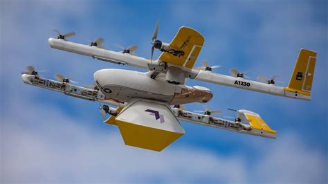 Attaqués par des corbeaux, des drones de livraison de Google cloués au sol