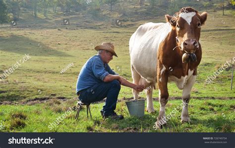 21,015 Milking Cow By Hand Images, Stock Photos, 3D objects, & Vectors ...