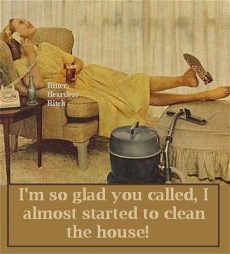 House Cleaning Funny Quotes. QuotesGram