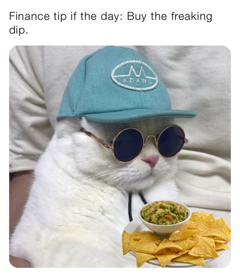 Buy the freaking dip | /r/Stonks | Buy the Dip | Know Your Meme