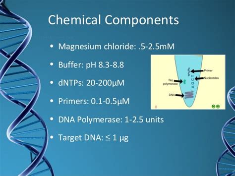 Types of pcr