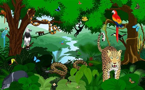 what-is-a-tropical-rainforest-illustration - Amazon Aid