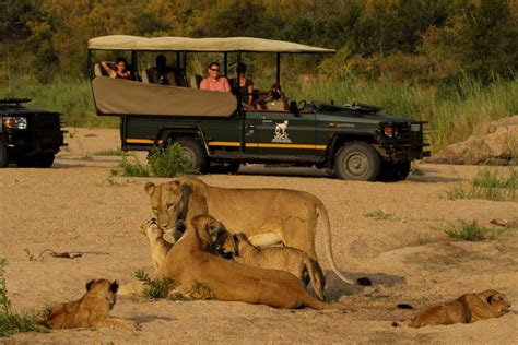 Kruger National Park - South Africa Tour Destinations | ATI Holidays