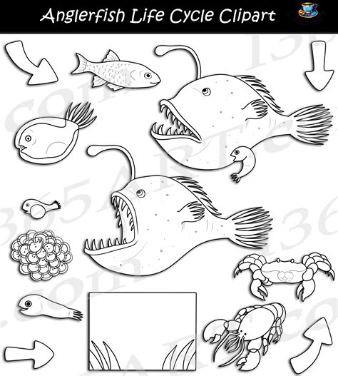 Free anglerfish clipart, Download Free anglerfish clipart png images ...