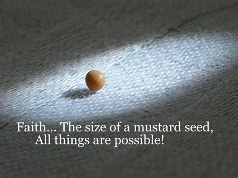 Faith As A Mustard Seed