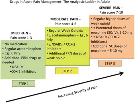 Drugs for the Management of Pain | Basicmedical Key