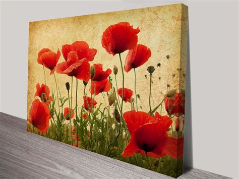 Top 20 of Red Poppy Canvas Wall Art | Poppy flower art, Poppy flower ...