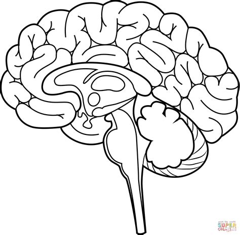 The Brain Coloring Pages - Free Arthur Coloring Pages Printables