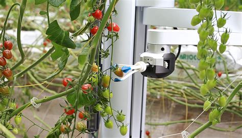 Root AI raises seed funding for Virgo robot to harvest multiple crops